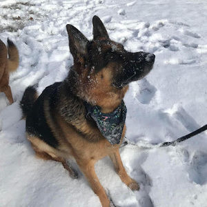 Meet your Posher, Lane